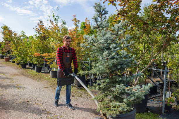 Best Tree Disease Treatment  in Arlington, GA